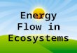 Energy Flow in Ecosystems. Components of an Ecosystem living and non-living things interact with each other in an ecosystem.living and non-living things
