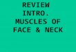 REVIEW INTRO. MUSCLES OF FACE & NECK. Rectus fibers Under splenius Oblique fibers