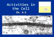 Activities in the Cell Ch. 4.1. About Cell Membranes 1.All cells have a cell membrane 2.Functions: a.Controls what enters and exits the cell to maintain