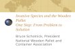 Invasive Species and the Wooden Pallet One Step: From Problem to Solution Bruce Scholnick, President National Wooden Pallet and Container Association
