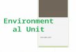 Environmental Unit VOCABULARY. ABIOTIC FACTORS  NON LIVING FACTORS IN THE ENVIRONMENT