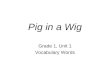 Pig in a Wig Grade 1, Unit 1 Vocabulary Words. bib Unit 1 – Pig in a Wig Short i