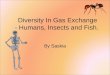 Diversity In Gas Exchange - Humans, Insects and Fish. By Saskia
