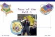 AP Biology 2007-2008 Tour of the Cell 1 AP Biology  Cells: Introduction to cells- great video 2:55   o2ccTPA 