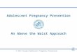 Adolescent Pregnancy Prevention An Above the Waist Approach © 2013 Carrera Adolescent Pregnancy Prevention Program