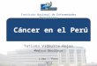 Instituto Nacional de Enfermedades Neoplásicas Cáncer en el Perú Tatiana Vidaurre Rojas Médico Oncólogo Lima – Perú 2013