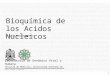 1 CA García Sepúlveda MD PhD Bioquímica de los Acidos Nucleicos Laboratorio de Genómica Viral y Humana Facultad de Medicina, Universidad Autónoma de San