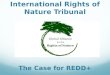 International Rights of Nature Tribunal The Case for REDD+