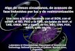 Laboratory of Chronobiology, Department of Science and Technology, National University of Quilmes, Buenos Aires, Argentina. Algo de ritmos circadianos,