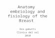 Anatomy embriology and fisiology of the Breast Dra gabutti Clinica del sol 2010