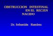 OBSTRUCCION INTESTINAL EN EL RECIEN NACIDO Dr. Sebastián Ramírez