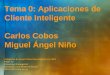 Tema 0: Aplicaciones de Cliente Inteligente Carlos Cobos Miguel Ángel Niño Adaptado de Smart Client Development in.NET Peter Ty Developer Evangelist Developer