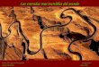 Las entradas mas increibles del mundo Música: The Long and Winding Road Por Ney Deluiz Cantam: The Beatles Ligue o Som Entrada a las montañas de Jebel