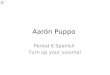 Aarón Puppo Period 6 Spanish Turn up your volume!