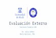 Evaluación Externa Instituto Franklin-UAH Dr. Julio Cañero Marta Walliser, PhD