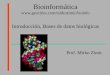 Bioinformática  Introducción, Bases de datos biológicas Prof. Mirko Zimic