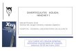 DIVERTICULITIS AGUDA: HINCHEY I Manuel Romero Simó Servicio de Cirugía General y Aparato Digestivo HOSPITAL GENERAL UNIVERSITARIO DE ALICANTE XXV CURSO