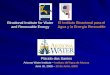 Binational Institute for Water and Renewable Energy Plácido dos Santos Arizona Water Institute – Instituto del Agua de Arizona June 20, 2008 – 20 de Junio,