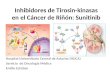 Inhibidores de Tirosin-kinasas en el Cáncer de Riñón: Sunitinib Hospital Universitario Central de Asturias (HUCA) Servicio de Oncología Médica Emilio Esteban