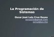 La Programación de Sistemas Oscar José Luis Cruz Reyes ocruz22@gmail.com ocruz@uv.mx