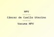 HPV ----- Cáncer de Cuello Uterino ----- Vacuna HPV