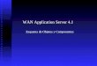Esquema de Objetos y Componentes WAN Application Server 4.1