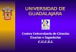 UNIVERSIDAD DE GUADALAJARA Centro Universitario de Ciencias Exactas e Ingenierias C.U.C.E.I