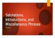 Salutations, Introductions, and Miscellaneous Phrases LESSON 1