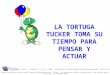 LA TORTUGA TUCKER TOMA SU TIEMPO PARA PENSAR Y ACTUAR Created using pictures from Microsoft Clipart® and Webster-Stratton, C. (1991). The teachers and