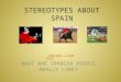 STEREOTYPES ABOUT SPAIN WHAT ARE SPANISH PEOPLE REALLY LIKE? YouTube - Flamenco