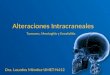 Alteraciones Intracraneales Dra. Lourdes Méndez-UMET-N412 Tumores, Meningitis y Encefalitis