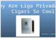 Why Are Liga Privada Cigars So Cool?