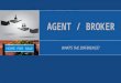 What Is The Difference Between An Agent And A Broker
