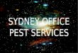 Sydney Office Pest Services