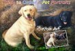 How to Order A Pet Portraits - LoveCustomArt