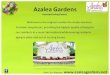 Assisted Living Florida - Azalea Gardens