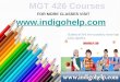 MGT 426 Courses/Indigohelp