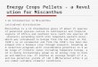 Energy Crops Pellets - a Revolution for Miscanthus