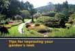 Tips for Improving your garden’s look