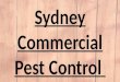 Sydney office pest control service