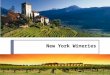 New York Wineries