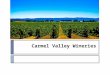 Carmel Valley Wineries