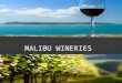 Malibu Wineries