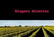 Niagara Wineries
