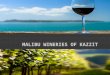 Malibu Wineries of Kazzit