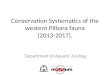 Conservation Systematics of the western Pilbara fauna (2013-2017)
