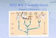 NIQ #4: Classification