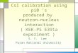 CsI calibration using pi0 's produced by  neutron-nucleus interaction ( KEK-PS E391a experiment )