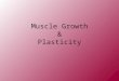 Muscle Growth & Plasticity