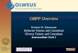 OBPP Overview Kristen N. Salamone Behavior Trainer and Consultant Olweus Trainer and Consultant